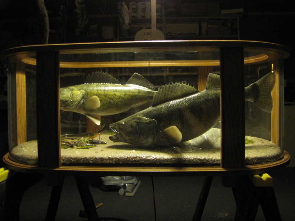 Coffee Table Fish Mount Dan's Wildlife Creations Taxidermy Studio