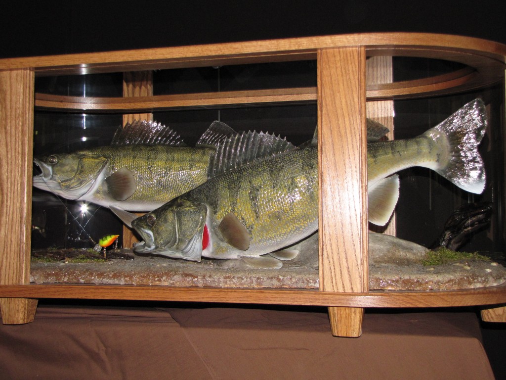 Coffee Table Fish Mount Dan's Wildlife Creations Taxidermy Studio