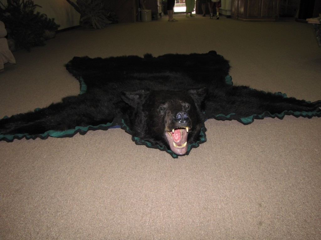 Bear Rug Mount Dan's Wildlife Creations Taxidermy Studio